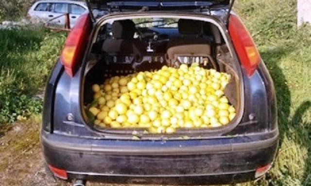 Noto, sorpresi a rubare 400 chili di limoni: arrestati in due