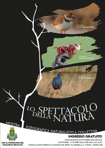"Lo spettacolo della natura", si inaugura domani una delle mostre fotografiche naturalistiche più corpose mai realizzate nel Siracusano