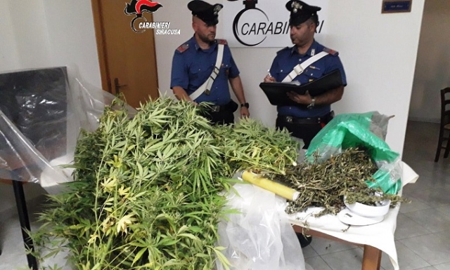 Portopalo, piante di cannabis indica e 1 chilo e mezzo di marijuana: arrestato un giovane