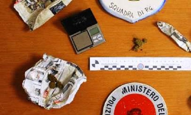 Lentini, pianta di canapa indiana e marijuana: denunciati in due