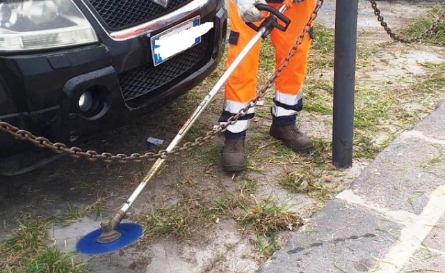 Siracusa, rimosse sterpaglie da Porta Marina, Ponte Santa Lucia e Camera di Commercio