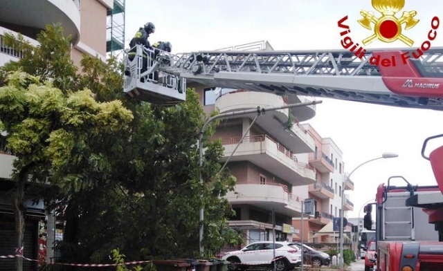Siracusa, albero abbattuto dal maltempo in via Necropoli Grotticelle