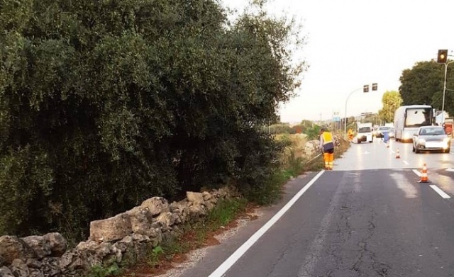 Siracusa, bonifica e diserbo in viale Ermocrate