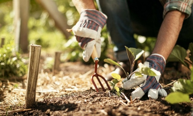 Siracusa, 5 detenuti del Cavadonna impegnati in due licei per lavori di pulizia, giardinaggio e manutenzione