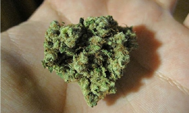 Siracusa, droga al Parco Robinson: sequestrati 1,7 grammi di marijuana