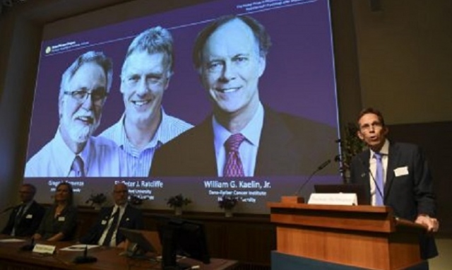 Nobel per la Medicina a Kailin, Ratcliffe e Semenza