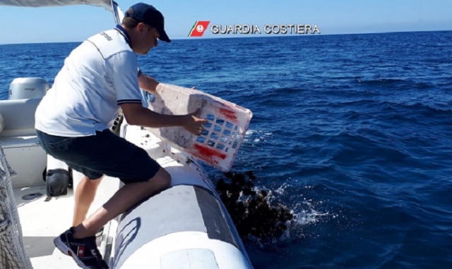 Siracusa, pesca di frodo nell'Area Marina protetta: sequestro attrezzature e sanzione di 2.000 euro