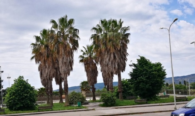 Sortino, manutenzione del verde pubblico della zona nord