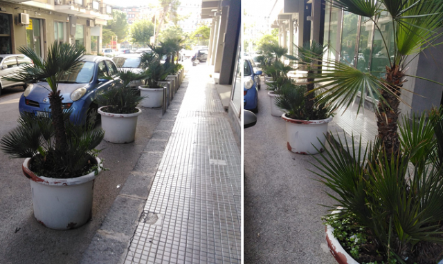 Siracusa, i grossi vasi di via Ciane mai autorizzati: saranno rimossi