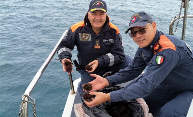 Augusta, pesca di frodo di ricci e pesce privo di tracciabilità: sanzioni per oltre 3mila euro