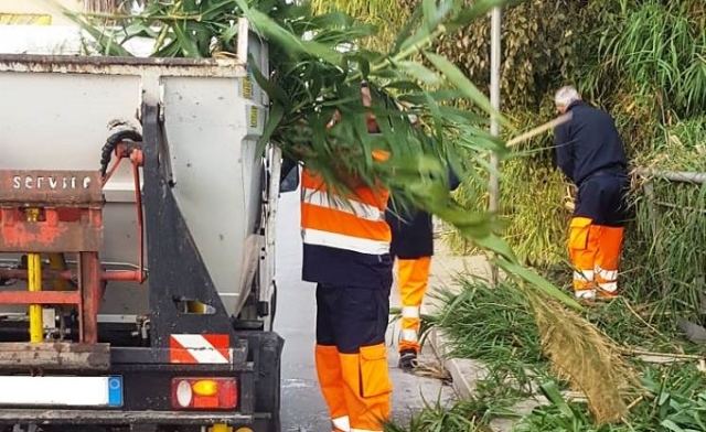 Siracusa, ripulito questa mattina viale Paolo Orsi dalle erbacce