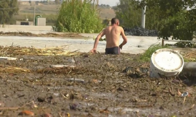 Siracusa, al via le richieste di risarcimento per le aziende agricole
