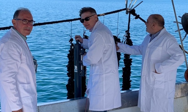 Siracusa, monitoraggio dell'Asp sui molluschi al Porto Grande