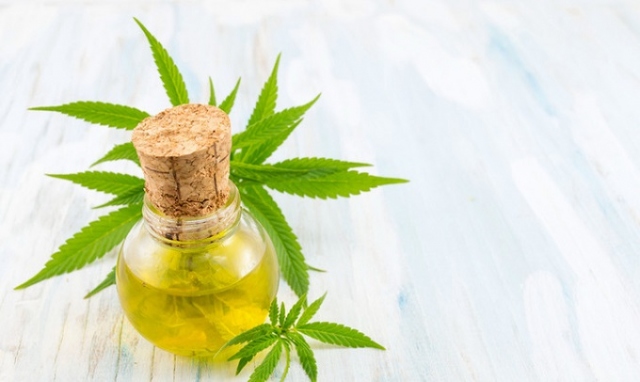 Cannabis terapeutica, l'argomento in un convegno all'Urban center