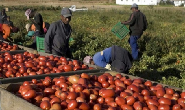 Siracusa, firma del protocollo contro il caporalato in agricoltura