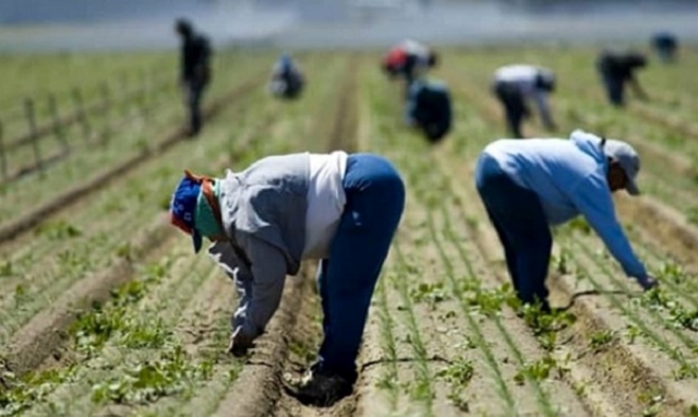 Agrigento, lavoratori sfruttati: 8 fermi