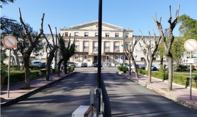 Siracusa, potatura alberi ospedale Rizza: Natura Sicula "Vergognosi massacri"