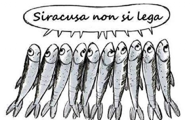 Venerdì scendono in piazza per la prima volta le "Sardine siracusane"