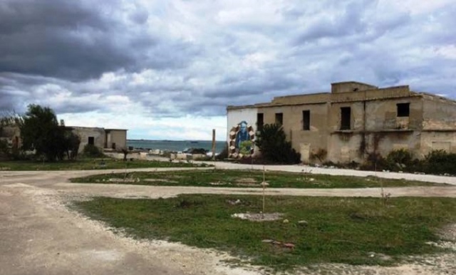 Una nuova vita per gli Alberi di Natale "veri", saranno polmone verde di Marina di Melilli: l'iniziativa del Movimento Aretuseo