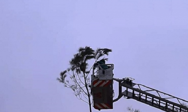 Siracusa, recuperato un grosso alveare in via Tagliamento