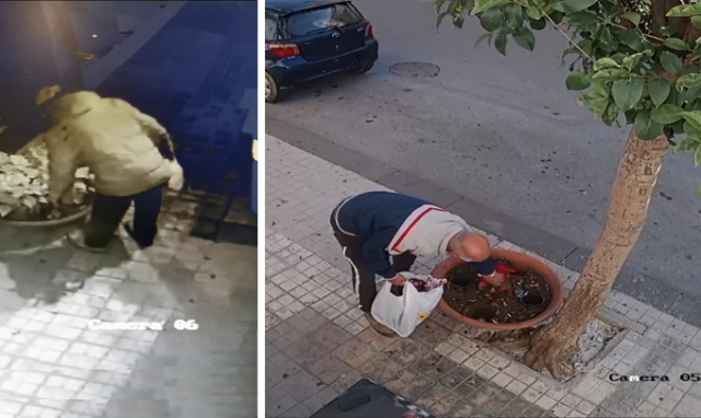 Siracusa, rubate di nuovo le stelle di Natale: le immagini delle telecamere