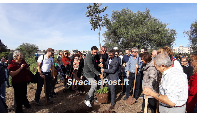 Piantumazione interno articolo