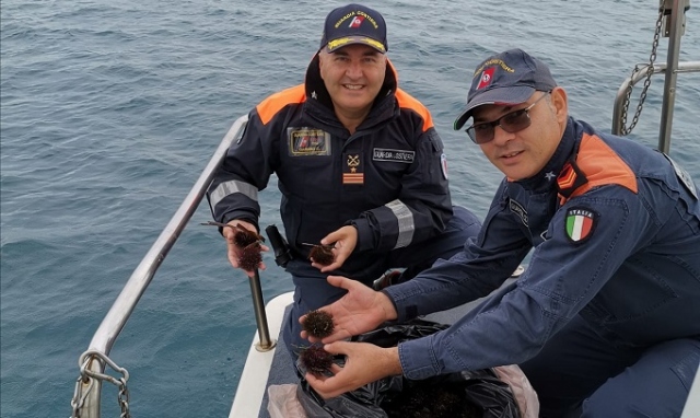 Augusta, controlli filiera ittica: sequestri e sanzioni per 9.000 euro