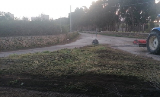 Siracusa, diserbo e pulizia in via Del Salgemma e in via La Maddalena