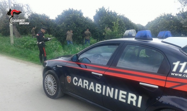 Siracusa, reddito di cittadinanza: denunciati 7 "furbetti"