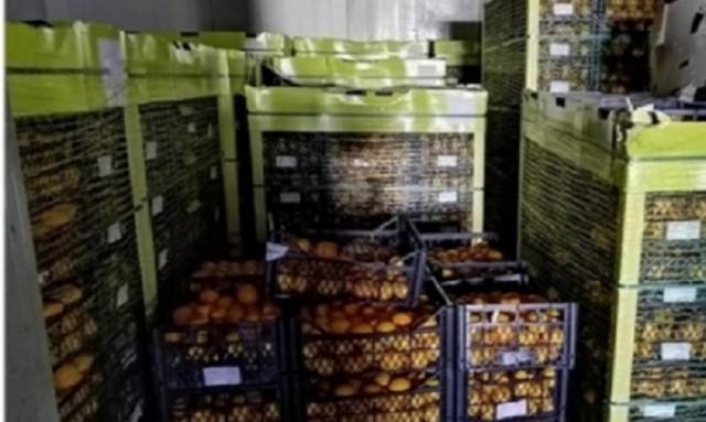 Limoni turchi sequestrati Siracusa, Corrao presenta interrogazione all’Ue