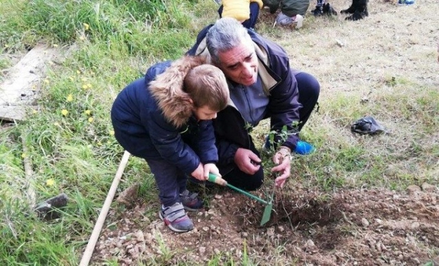 Siracusa, messi a dimora alberi nel parcheggio dell’Avis