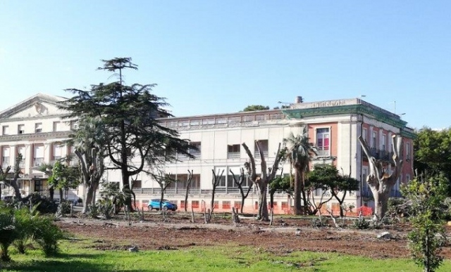 Siracusa, pini abbattuti e alberi capitozzati: Natura Sicula denuncia l'Asp