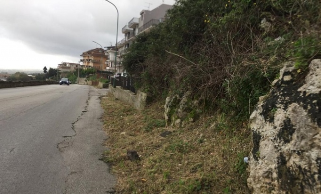 Strade provinciali, proseguono le operazioni di diserbo di Siracusa risorse