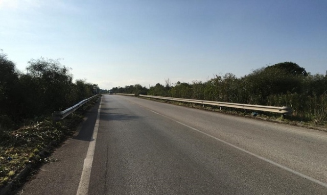 Siracusa, ripulito dalle erbacce lo svincolo di Belvedere