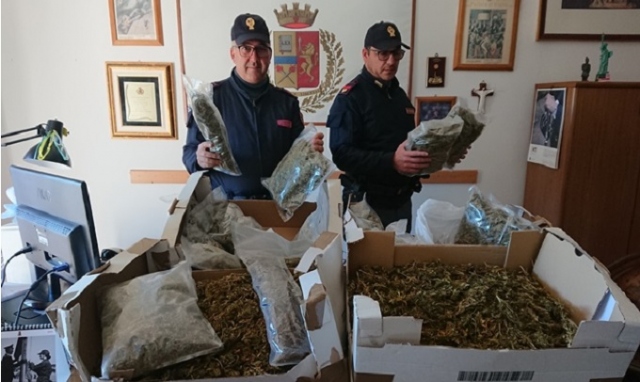 Pachino, sorpresi in possesso di 21 chili di marijuana: coppia in manette