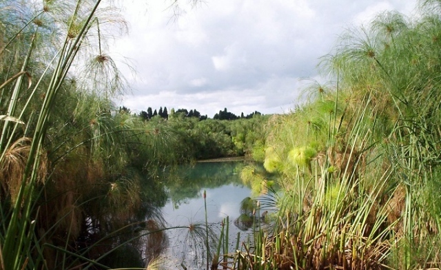 Siracusa, le scuole impegnate nella valorizzazione della riserva Ciane Saline