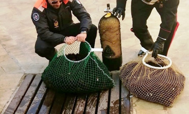 Siracusa, pesca illegale subacquea di ricci in Ortigia: sanzioni