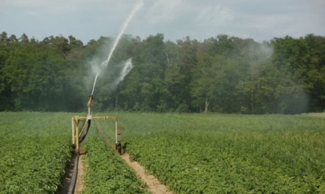 Inverno con temperature oltre la media, coltivazioni a rischio