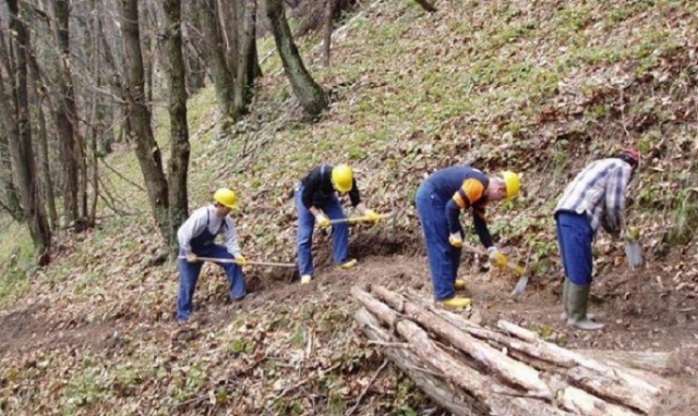 Nel Siracusano, assunzioni dei forestali a partire da metà marzo