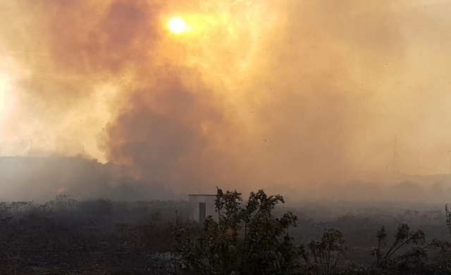 Priolo Gargallo, telecamere per la prevenzione degli incendi boschivi: il progetto ottiene i fondi