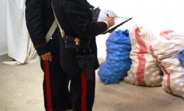 Siracusa, rubano melanzane azienda agricola: denunciati