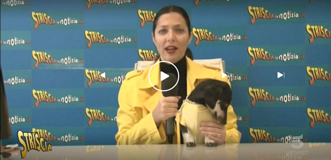 Noto, la riconversione del Trigona in ospedale Covid: il caso a "Striscia la notizia". IL VIDEO 1 Trigona link articolo