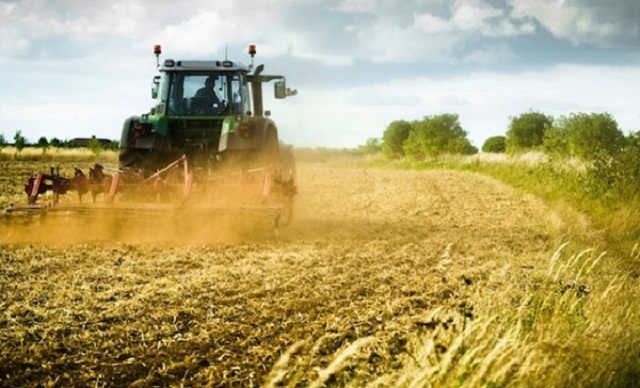 Coronavirus, Fai Cisl Ragusa Siracusa: "Proroga per presentazione domande di disoccupazione agricola"