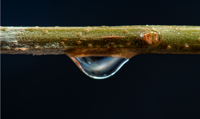 “Una piccola goccia di galassia”, lo scatto del fotografo siracusano Masismo Tamajo premiato dalla Nasa