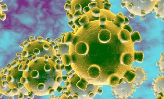 5142338_1823_coronavirus_temperature