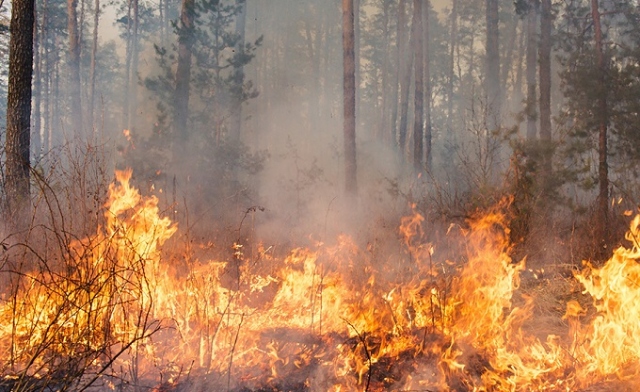 Priolo Gargallo, prevenzione incendi: il sindaco Gianni firma l'ordinanza