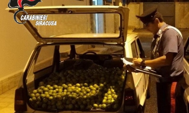 Francofonte, sorpreso alla guida di un'auto rubata con 100 chili di arance: denunciato