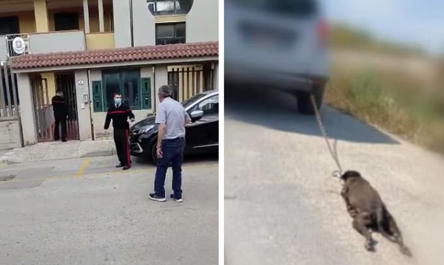 Priolo, uccide un cane randagio trascinandolo con la sua auto: 69enne denunciato dai Carabinieri per maltrattamenti