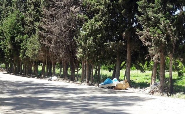 Siracusa, Mangiafico: "Pochi servizi per Fontane Bianche". Le proposte