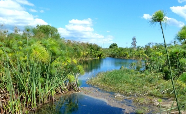 Siracusa, associazioni scrivono a Musumeci e Costa: "Accelerare su riserva naturale Fiume Ciane e Capo Murro di Porco"